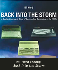 Back Into the Storm book